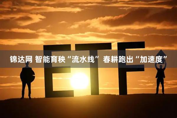 锦达网 智能育秧“流水线” 春耕跑出“加速度”