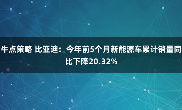 牛点策略 比亚迪：今年前5个月新能源车累计销量同比下降20.32%
