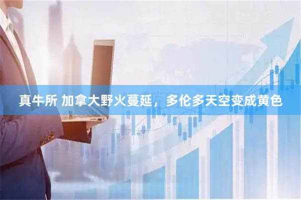 真牛所 加拿大野火蔓延，多伦多天空变成黄色
